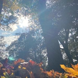 Meet your Posher, Jess